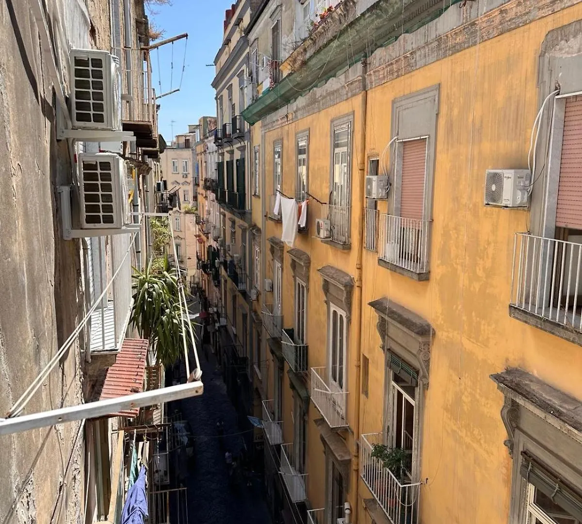 Vincent House Apartment Naples